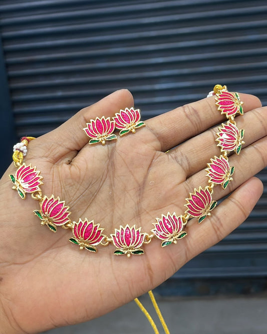 Anvi-8