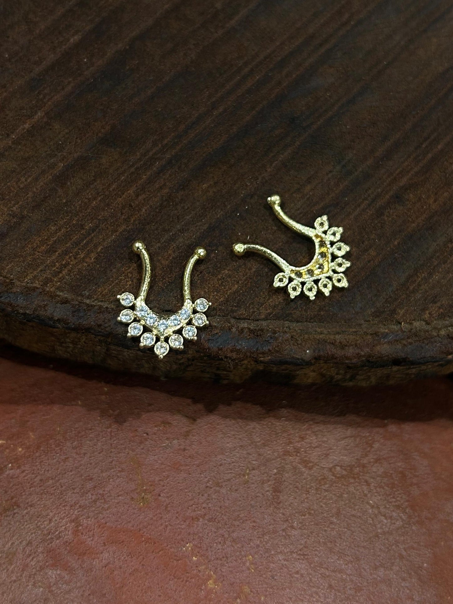 Septum rings