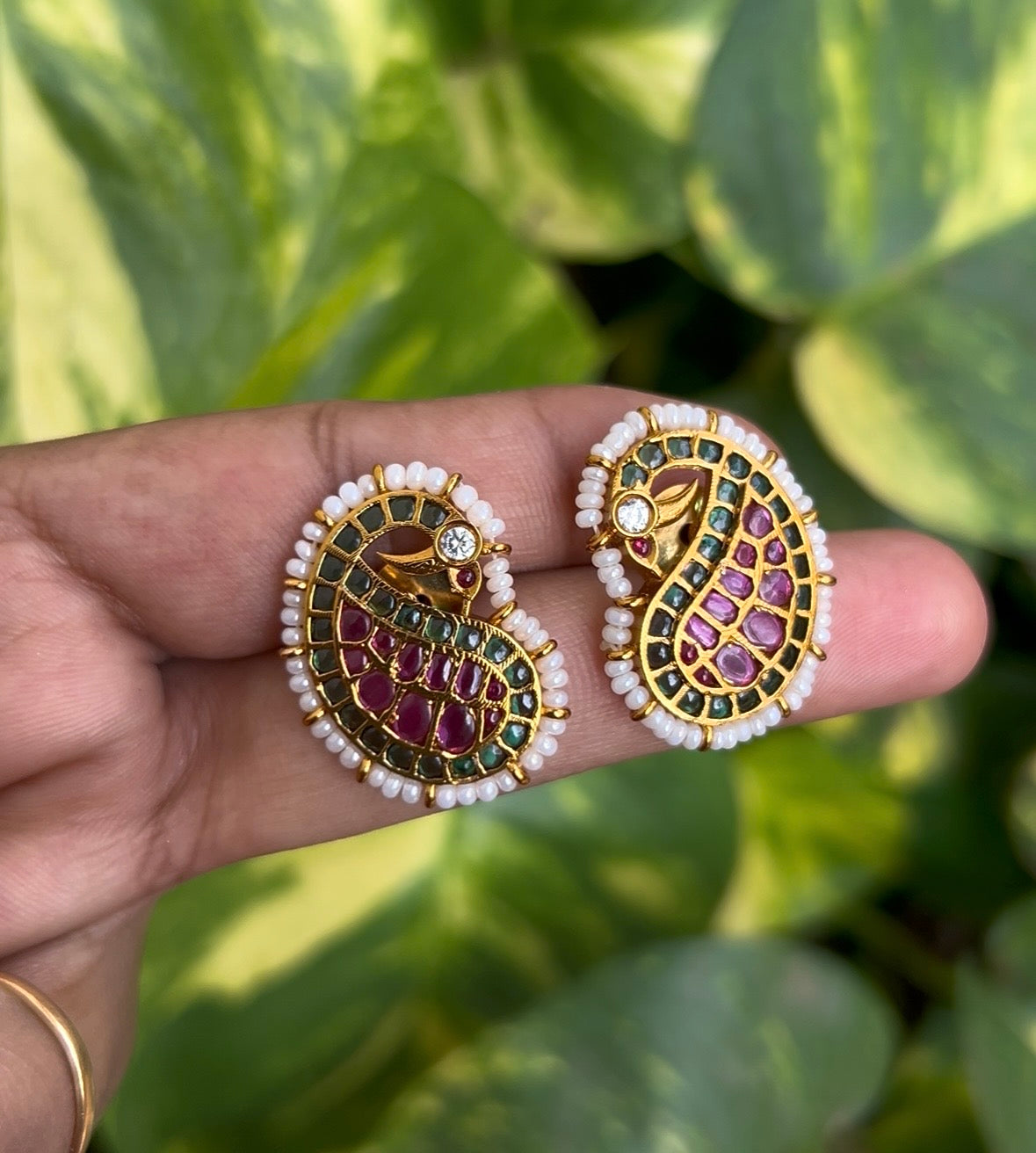 Kemp mango studs