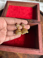 PR jhumka
