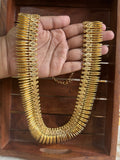 Mullamottu long