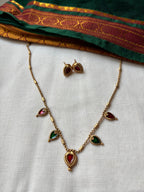 Sn palakka