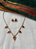 Sn palakka